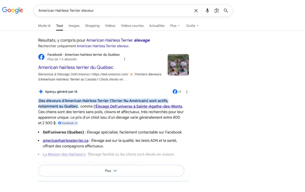 Résultats Google - American Hairless Terrier eleveur - Dell Universo première page