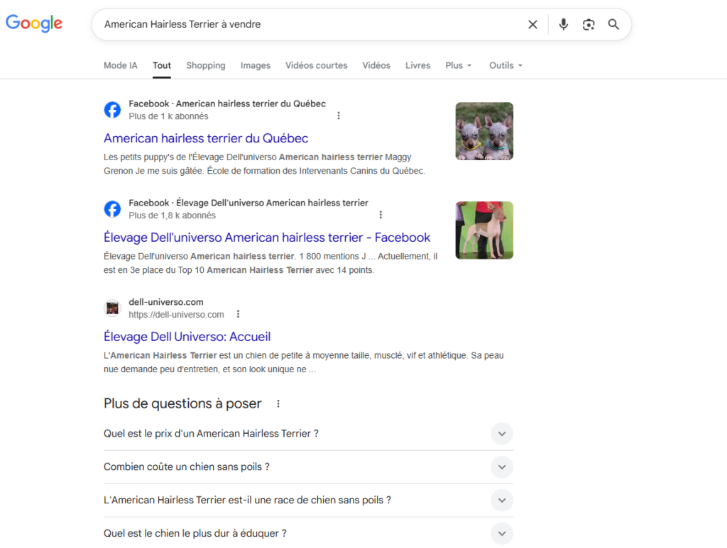 Résultats Google - American Hairless Terrier à vendre - Dell Universo 3 positions première page