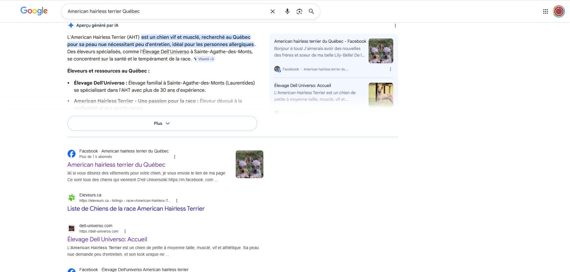 Dell'Universo dans l'Aperçu généré par IA de Google pour American Hairless Terrier Québec — résultat IntelRank AI