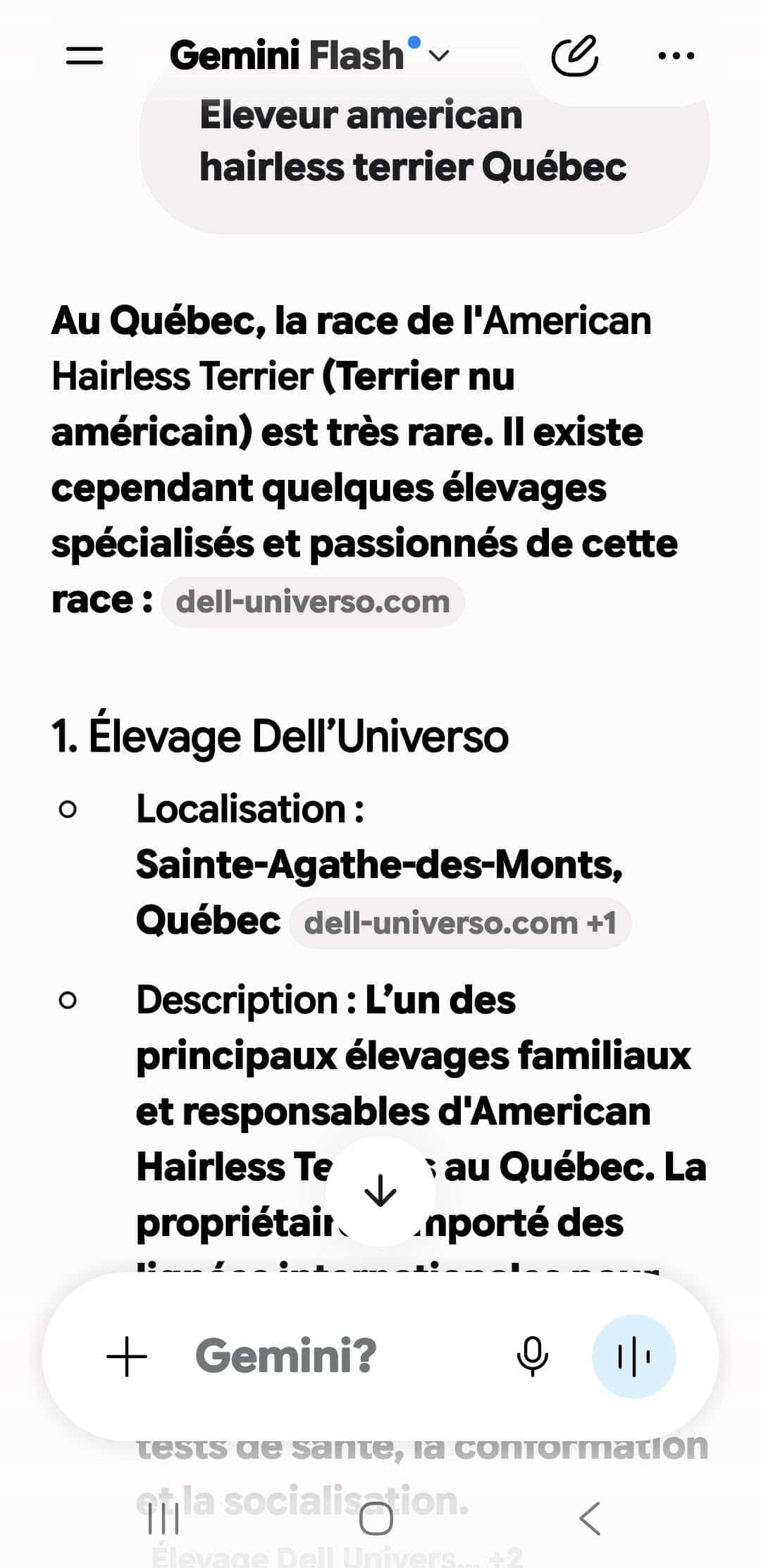 Réponse de Google Gemini citant Élevage Dell Universo et son site dell-universo.com comme source