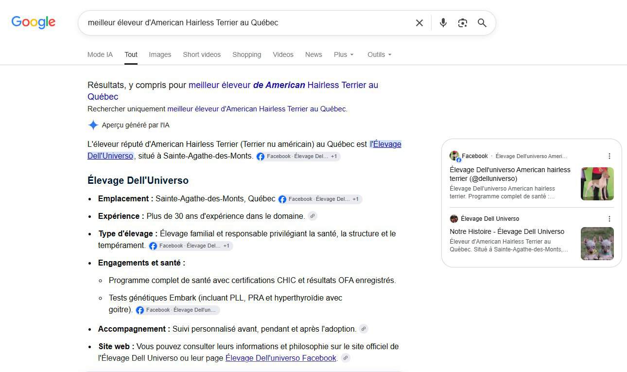 Aperçu IA de Google, 26 septembre 2026 : l'Élevage Dell Universo nommé éleveur réputé d'American Hairless Terrier au Québec, à Sainte-Agathe-des-Monts